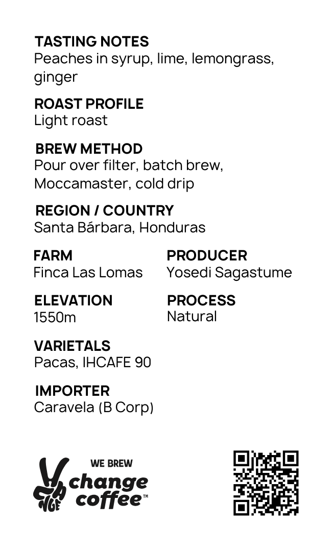 Seasonal Filter for Subscription