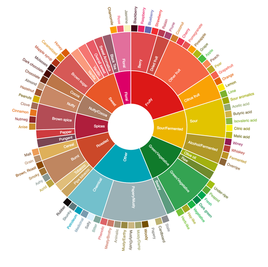 coffee taster's flavour wheel flavor aroma fairtrade change world vision